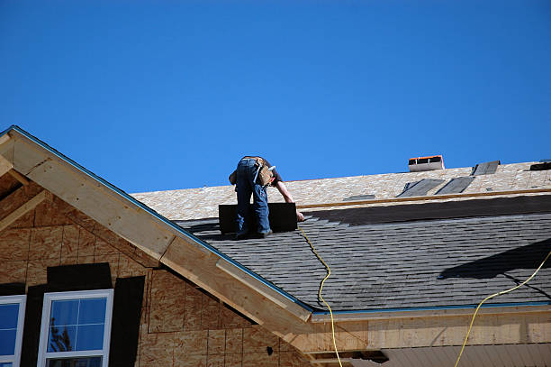 Best Roof Leak Repair  in Hodgkins, IL
