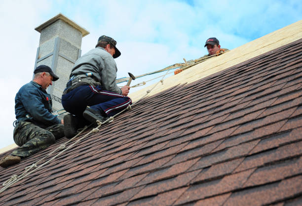 Quick and Trustworthy Emergency Roof Repair Services in Hodgkins, IL